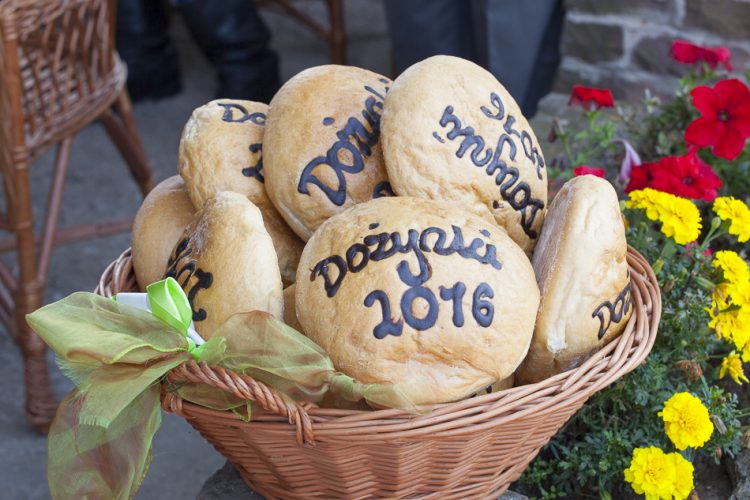 Dożynki 2016
