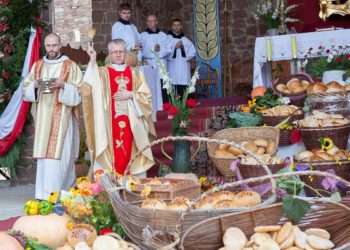 Zaproszenie: Dożynki diecezji radomskiej, powiatu starachowickiego i gminy Pawłów (08.09.2019)