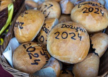 Dożynki Diecezji Radomskiej i Gminy Pawłów [fotogaleria]